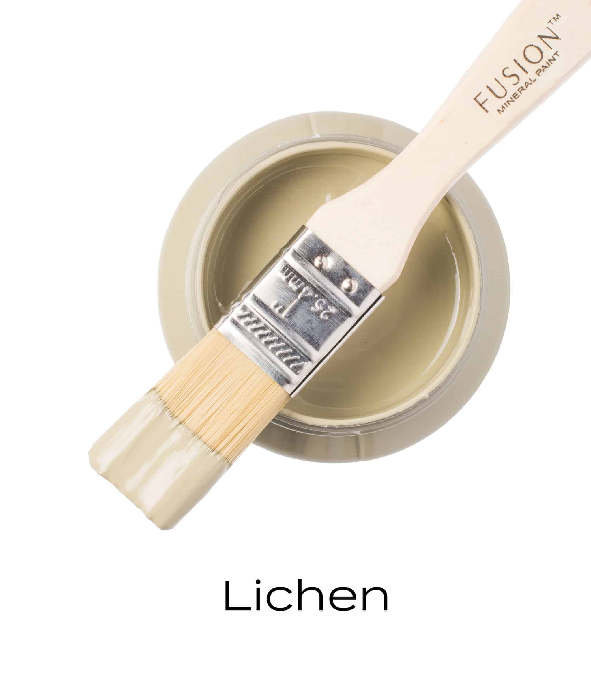 T1LICHEN T1LICHEN