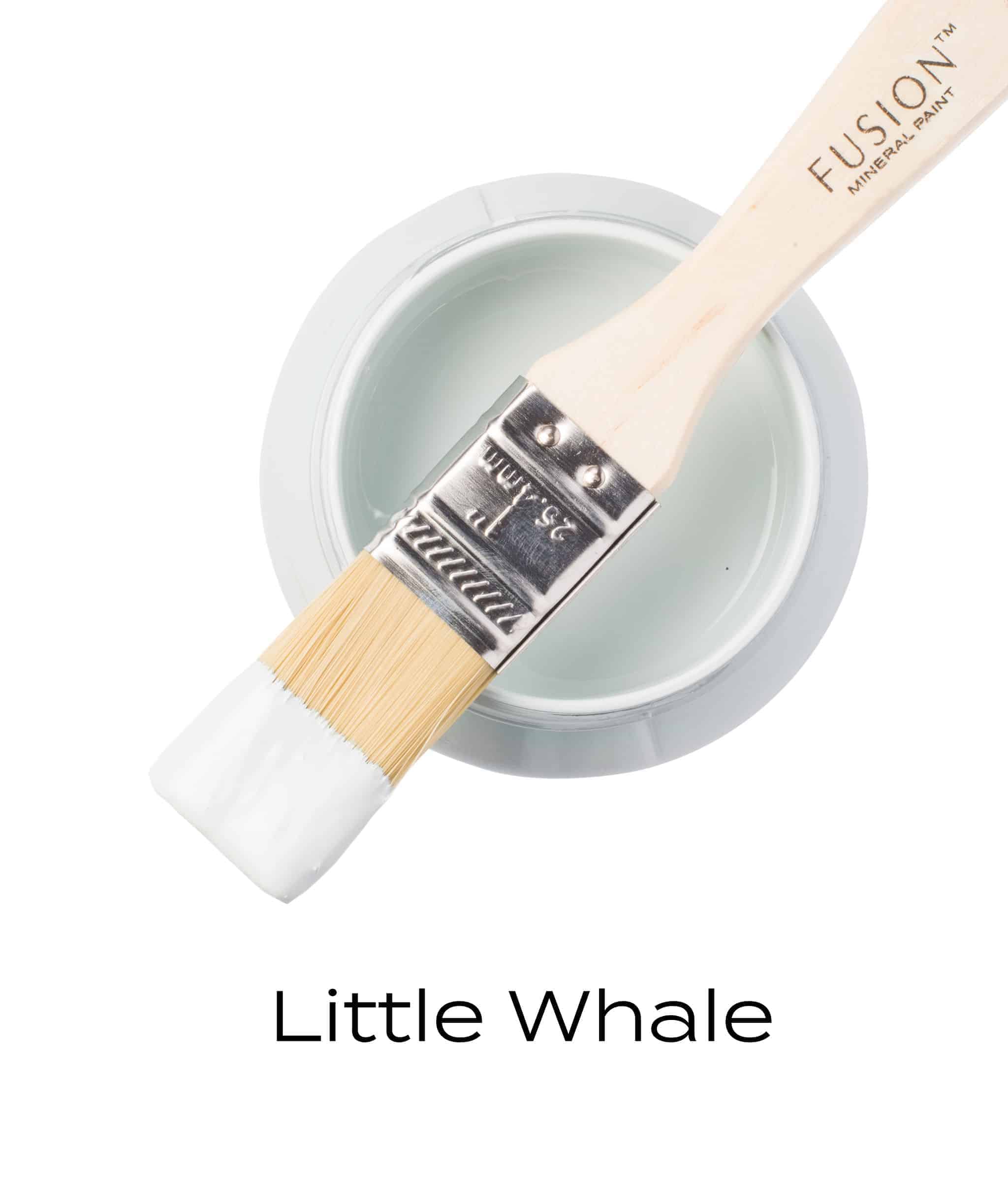 T1LITTLEWHALE T1LITTLEWHALE