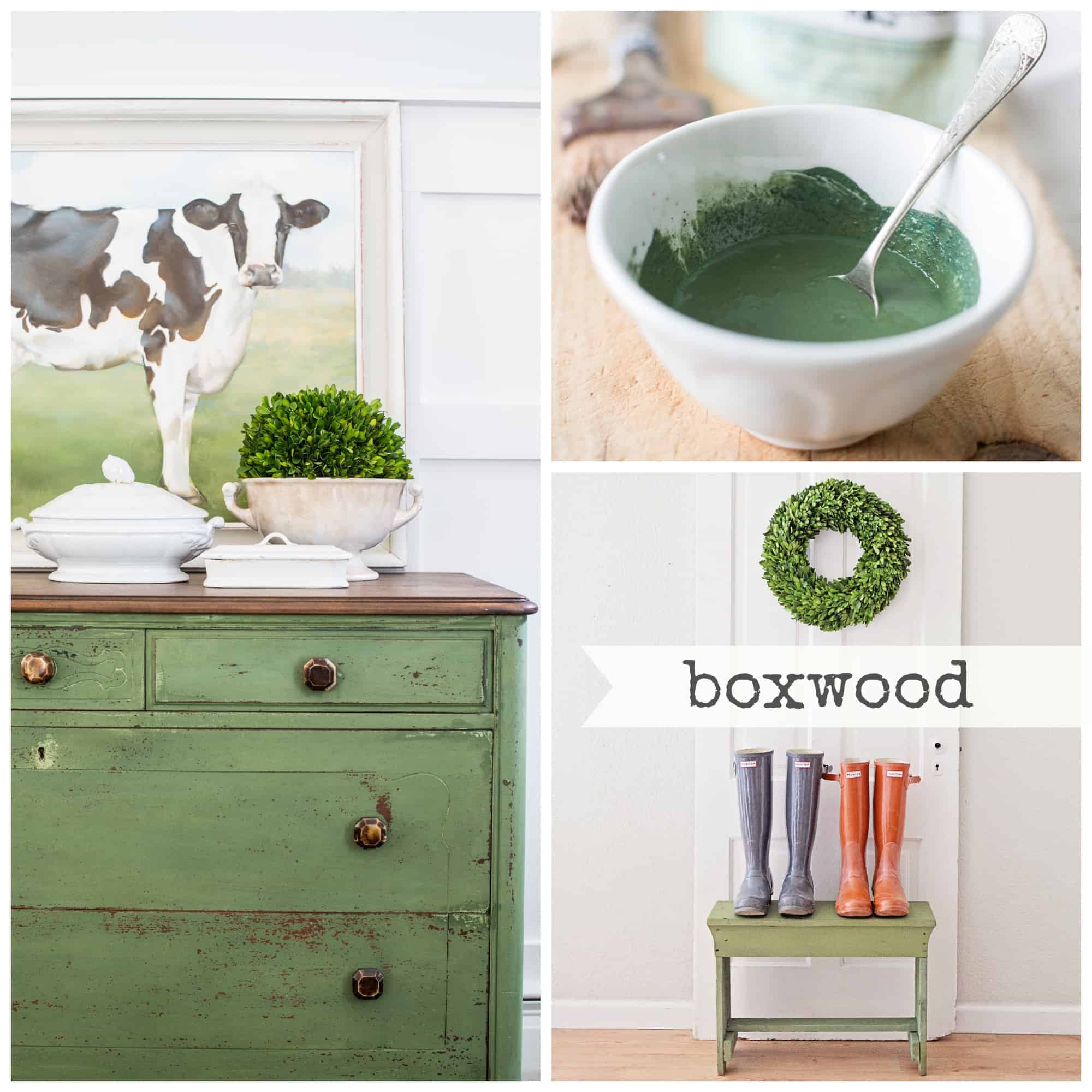 Boxwood Collage.jpg