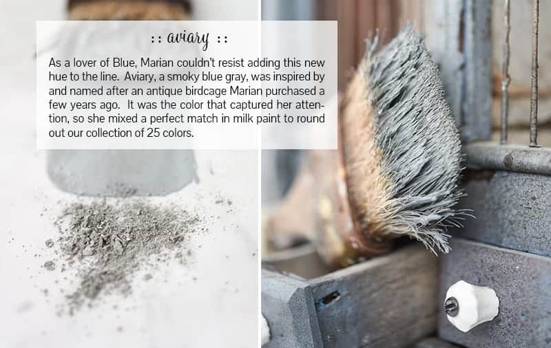 aviary-collage aviary collage