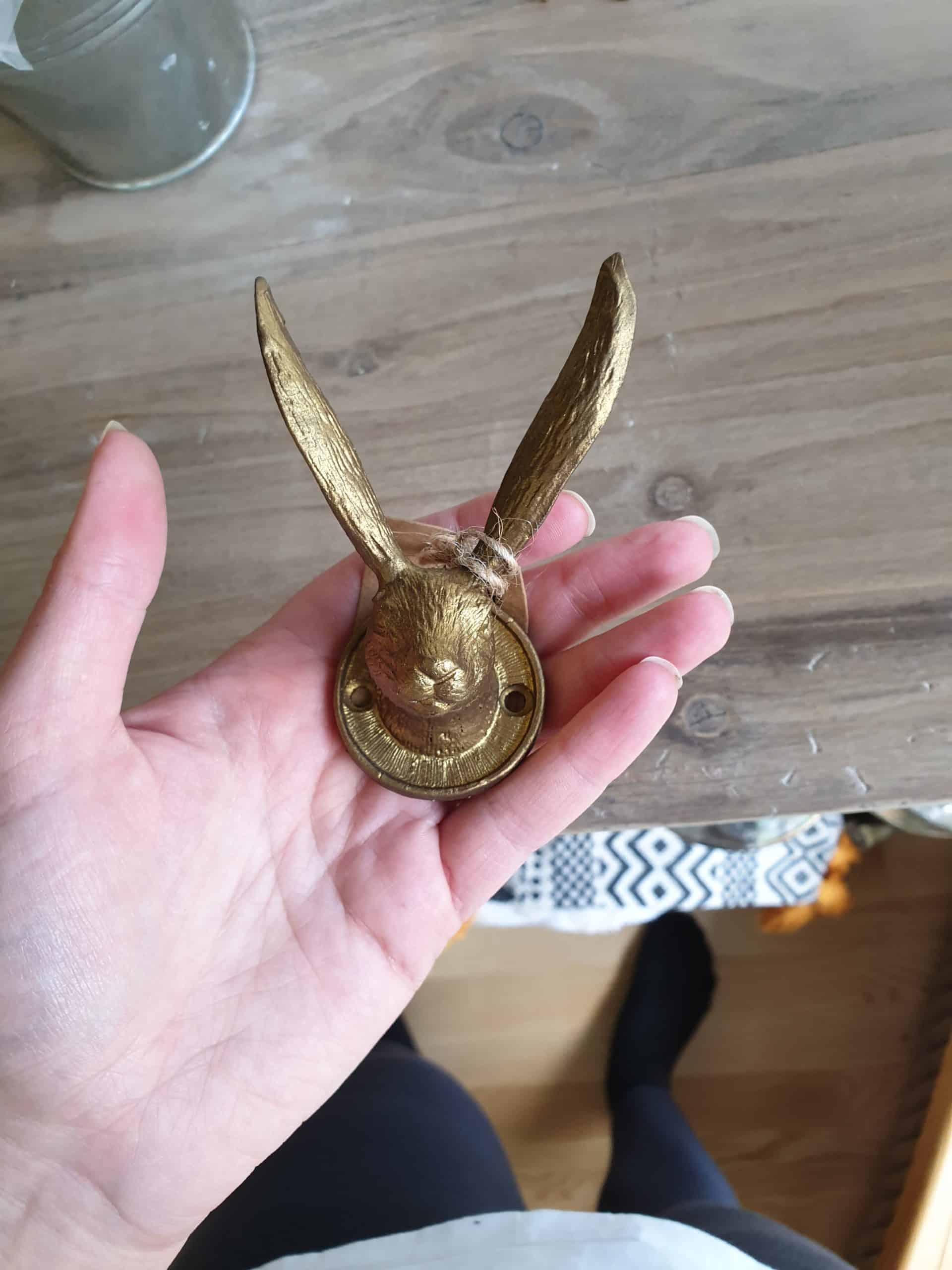 jänes jänes scaled