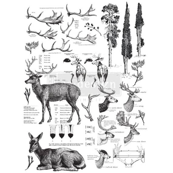 re-design with PRIMA siirdepilt DEER
