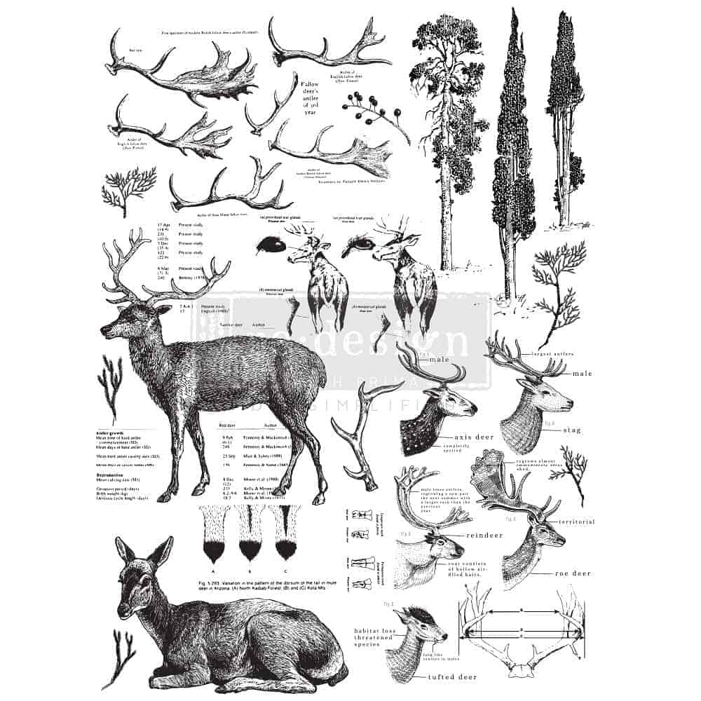 re-design with PRIMA siirdepilt DEER