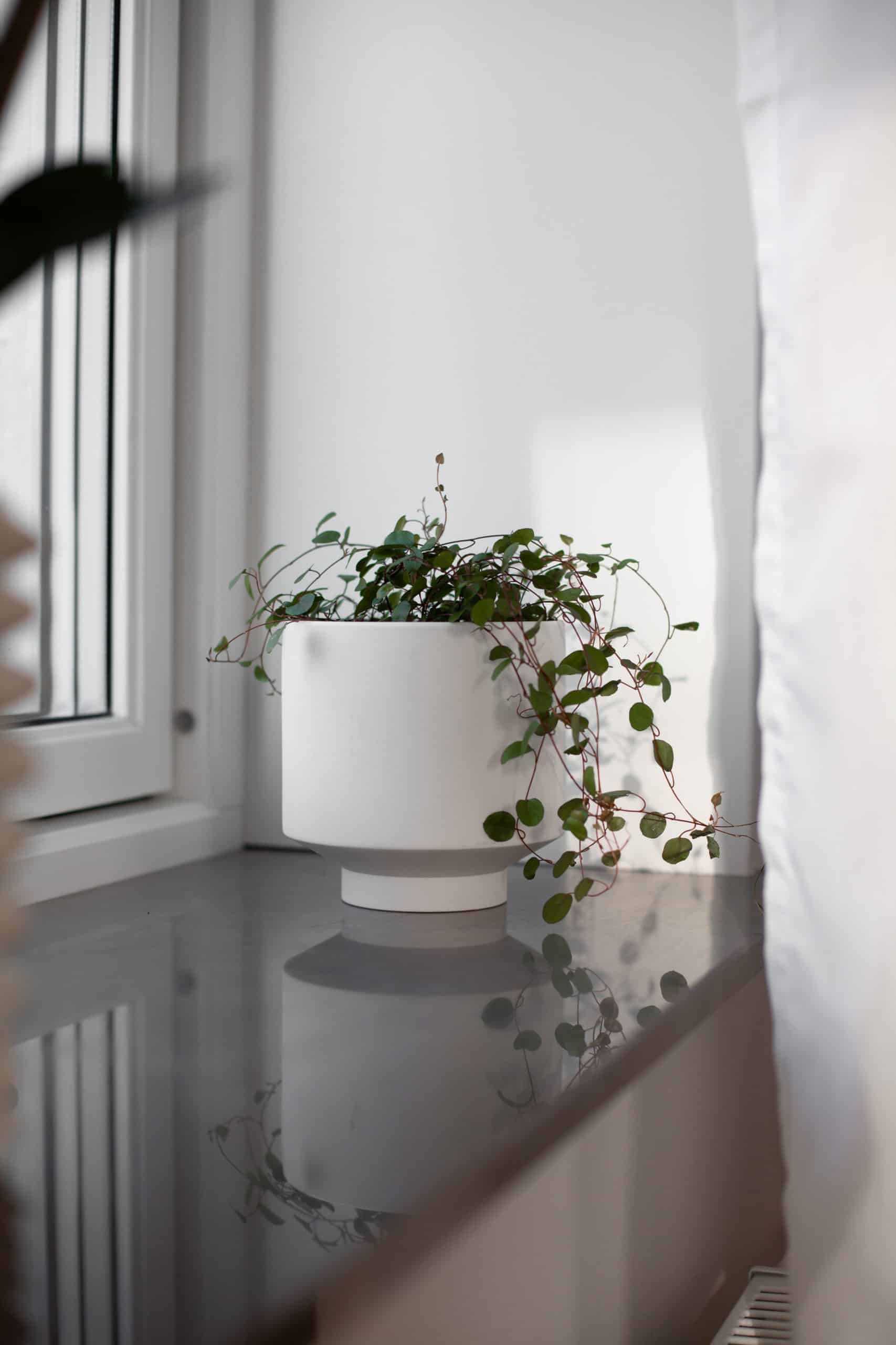 388102-KIABY-scaled 388102 KIABY scaled 2