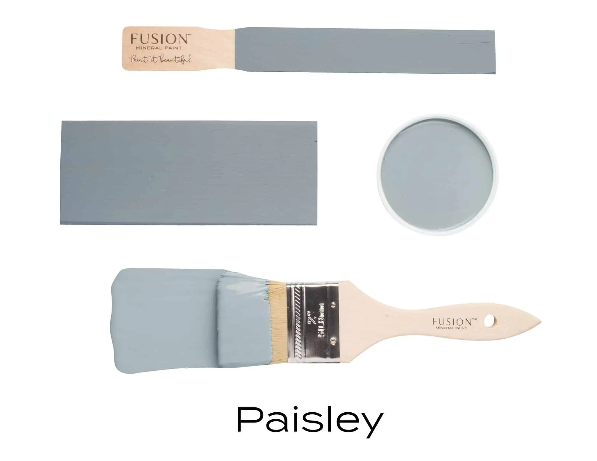Paisley Fusion Mineral Paint Paisley