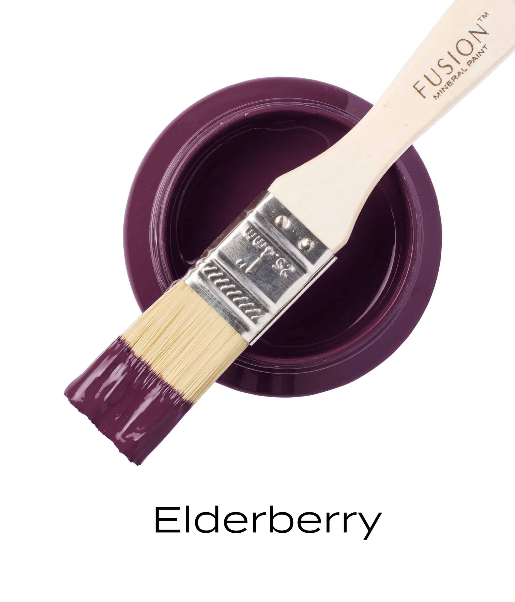 Type1-Elderberry Type1 Elderberry scaled