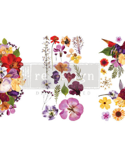 re-design with PRIMA väike siirdepilt ORGANIC FLORA