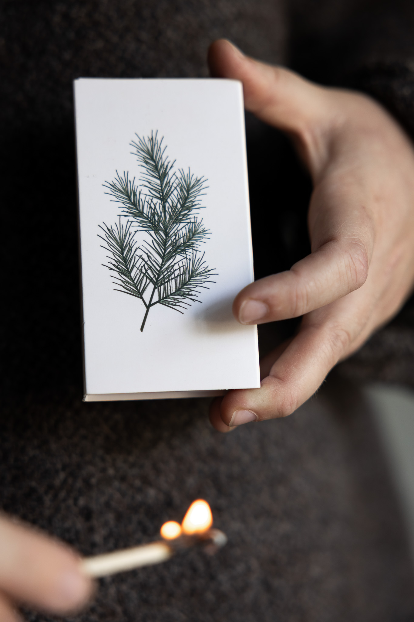 913132_grankvist_tandstickask_3 913132 grankvist tandstickask 3